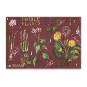 Postcard Wildflower Picnic, Katie Daisy