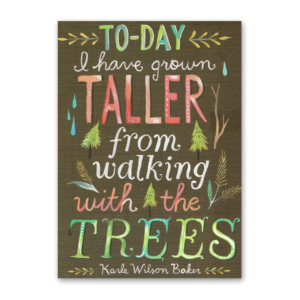 Postcard Wildflower Picnic, Katie Daisy