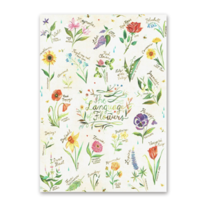 Postcard Wildflower Picnic, Katie Daisy