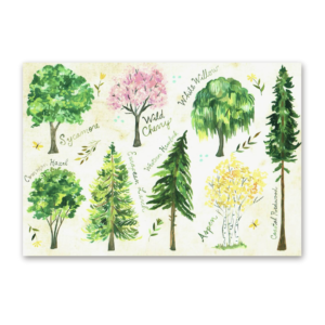 Postcard Wildflower Picnic, Katie Daisy