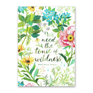 Postcard Wildflower Picnic, Katie Daisy