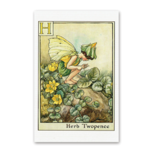 Postcard Flower Fairies, Cicely Mary Barker