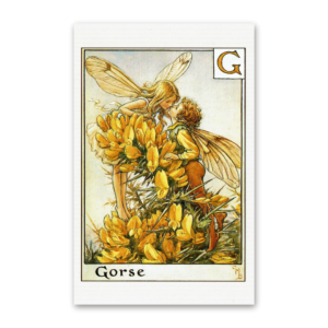 Postcard Flower Fairies, Cicely Mary Barker