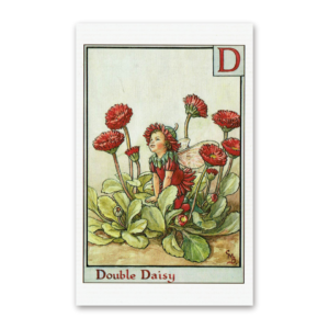 Postcard Flower Fairies, Cicely Mary Barker