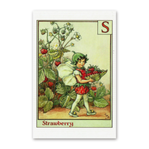 Postcard Flower Fairies, Cicely Mary Barker