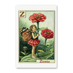Postcard Flower Fairies, Cicely Mary Barker