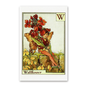 Postcard Flower Fairies, Cicely Mary Barker
