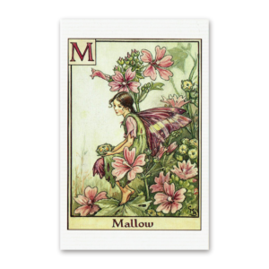 Postcard Flower Fairies, Cicely Mary Barker