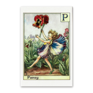 Postcard Flower Fairies, Cicely Mary Barker