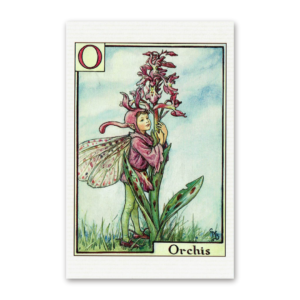 Postcard Flower Fairies, Cicely Mary Barker