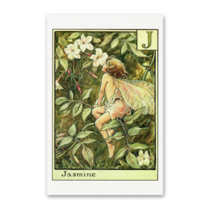 Postcard Flower Fairies, Cicely Mary Barker