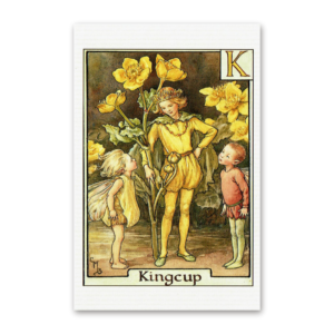 Postcard Flower Fairies, Cicely Mary Barker