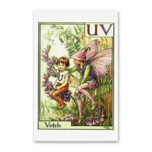 Postcard Flower Fairies, Cicely Mary Barker