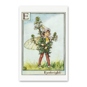 Postcard Flower Fairies, Cicely Mary Barker