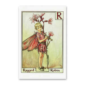 Postcard Flower Fairies, Cicely Mary Barker
