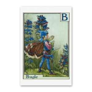 Postcard Flower Fairies, Cicely Mary Barker