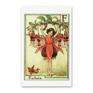 Postcard Flower Fairies, Cicely Mary Barker