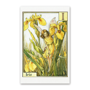 Postcard Flower Fairies, Cicely Mary Barker