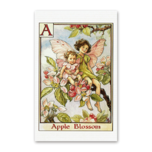 Postcard Flower Fairies, Cicely Mary Barker