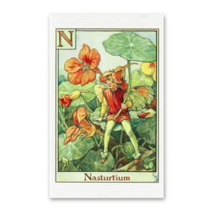 Postcard Flower Fairies, Cicely Mary Barker