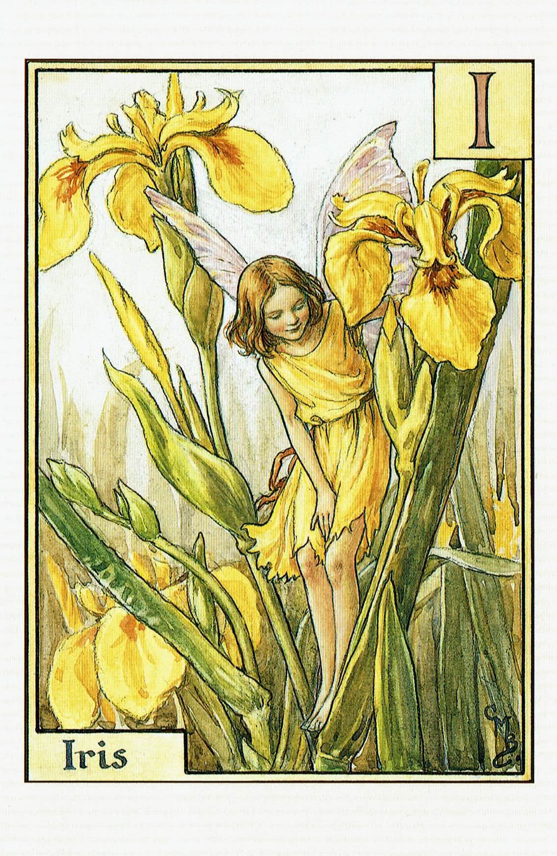ff 72