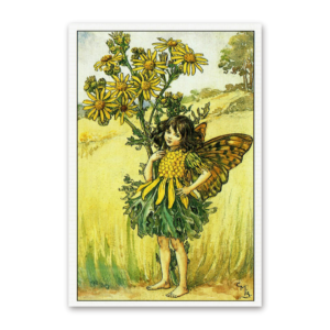 Postcard Flower Fairies, Cicely Mary Barker