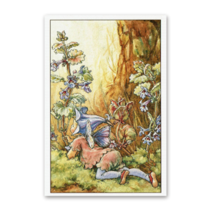 Postcard Flower Fairies, Cicely Mary Barker