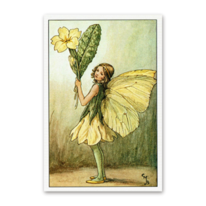 Postcard Flower Fairies, Cicely Mary Barker