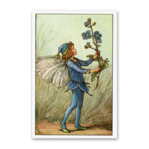 Postcard Flower Fairies, Cicely Mary Barker