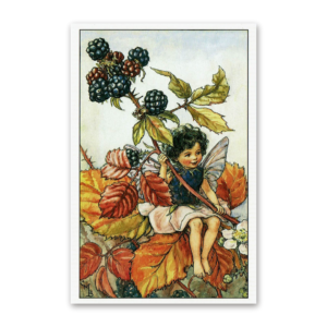 Postcard Flower Fairies, Cicely Mary Barker