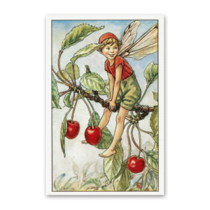 Postcard Flower Fairies, Cicely Mary Barker