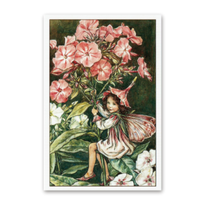 Postcard Flower Fairies, Cicely Mary Barker