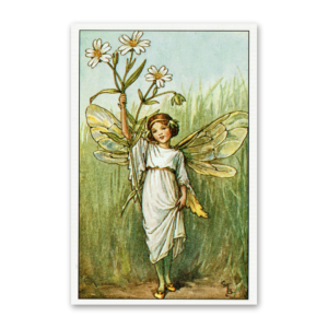 Postcard Flower Fairies, Cicely Mary Barker