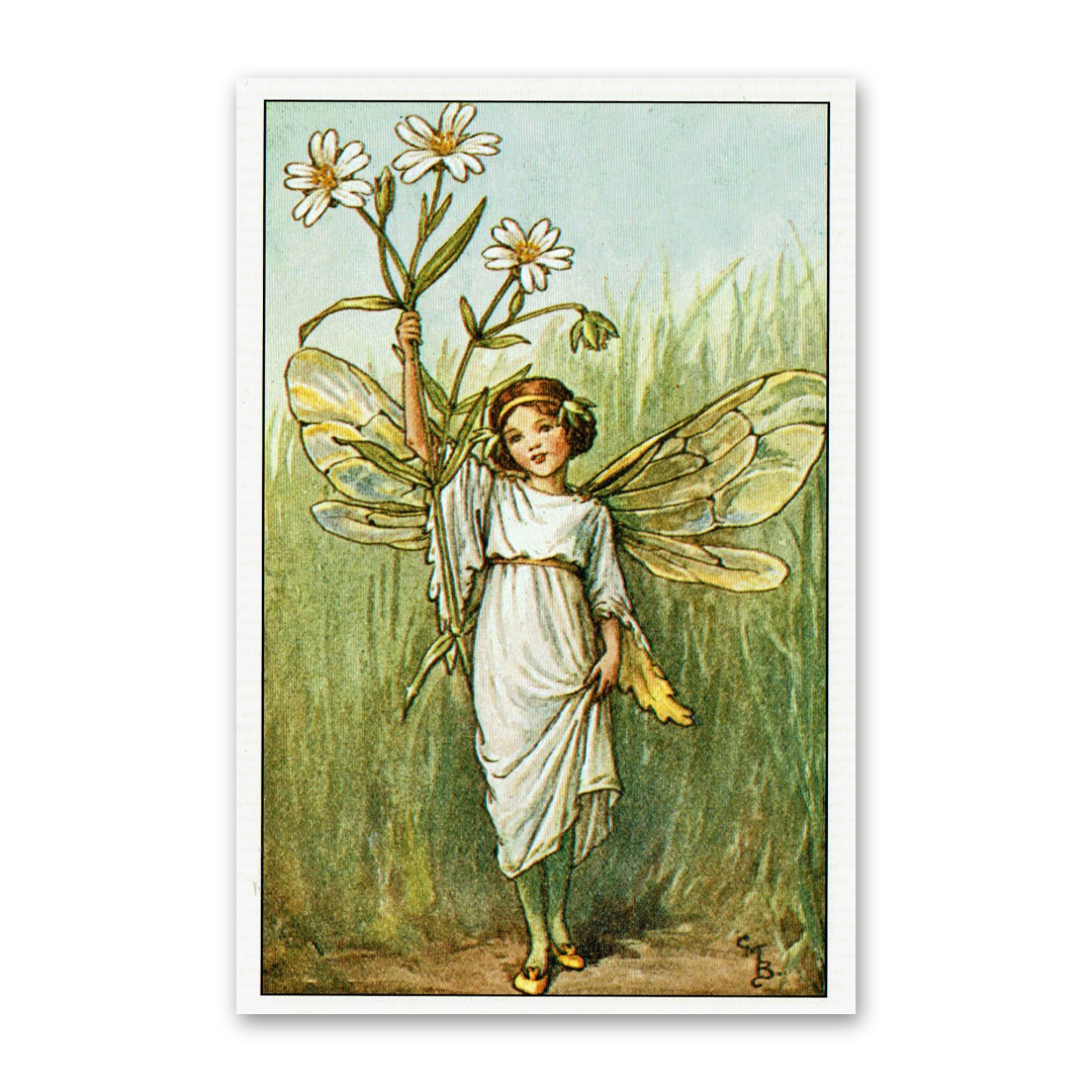 Postcard Flower Fairies, Cicely Mary Barker