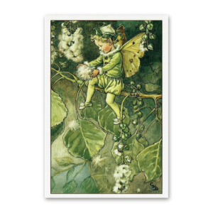Postcard Flower Fairies, Cicely Mary Barker