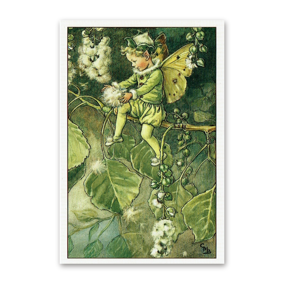 Postcard Flower Fairies, Cicely Mary Barker