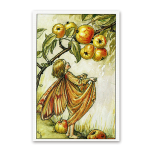Postcard Flower Fairies, Cicely Mary Barker