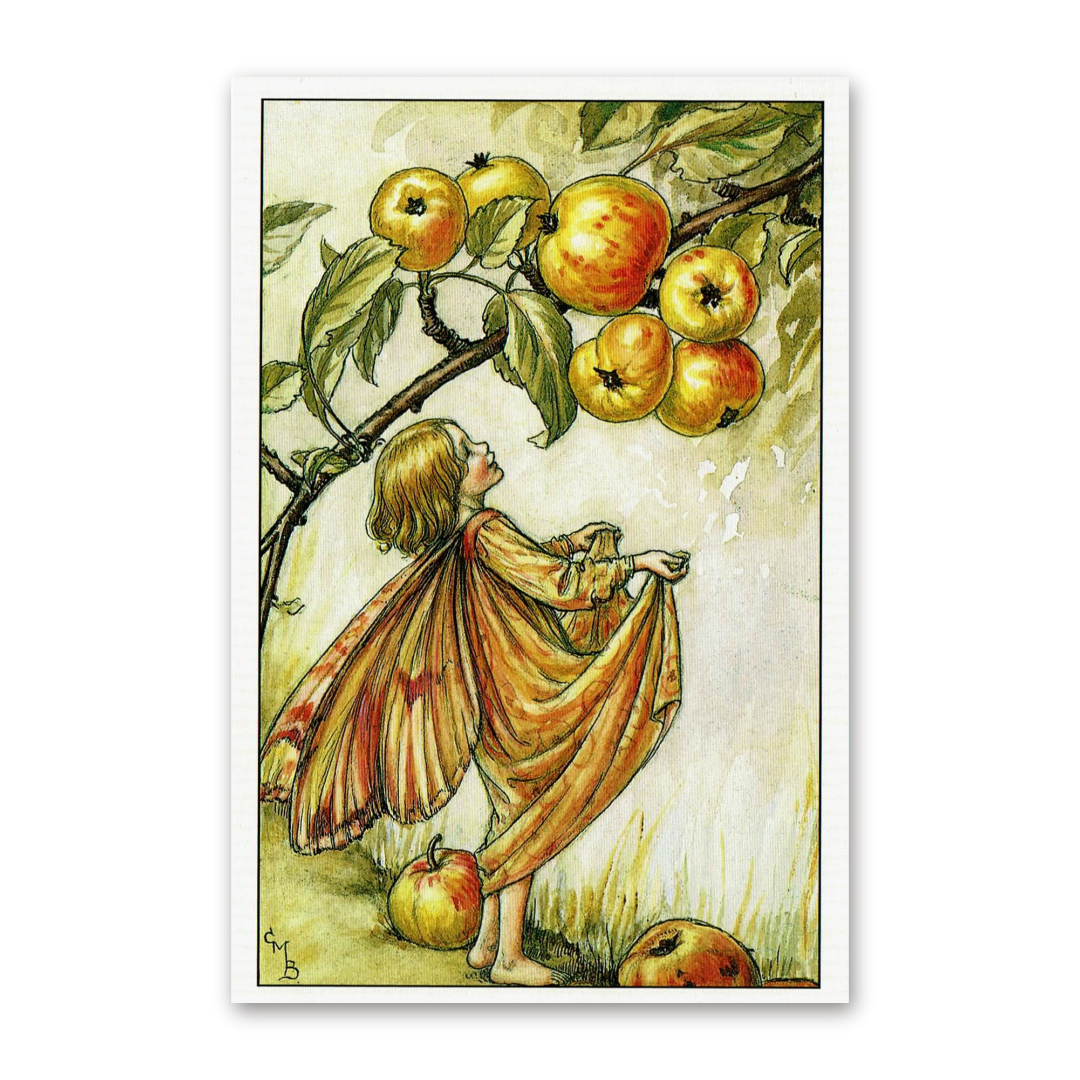 Postcard Flower Fairies, Cicely Mary Barker