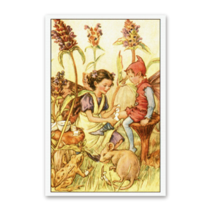 Postcard Flower Fairies, Cicely Mary Barker