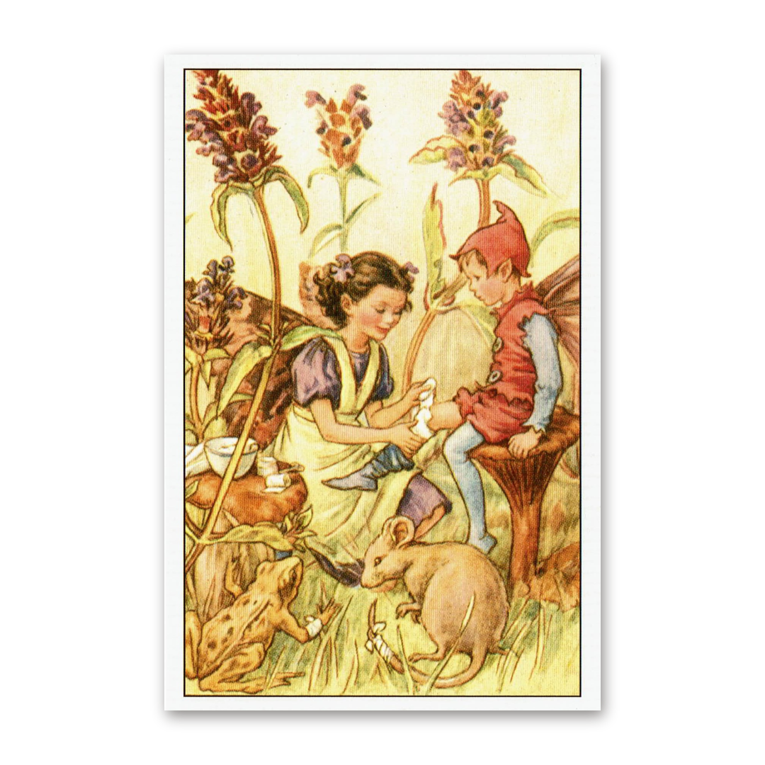 Postcard Flower Fairies, Cicely Mary Barker