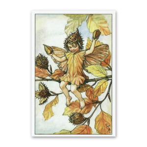 Postcard Flower Fairies, Cicely Mary Barker