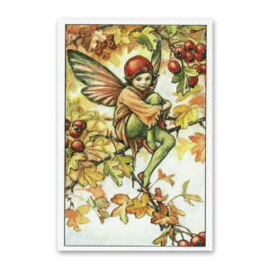 Postcard Flower Fairies, Cicely Mary Barker