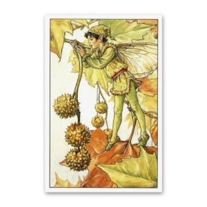 Postcard Flower Fairies, Cicely Mary Barker