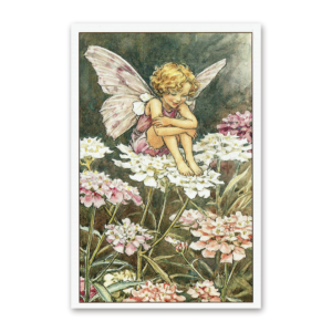 Postcard Flower Fairies, Cicely Mary Barker