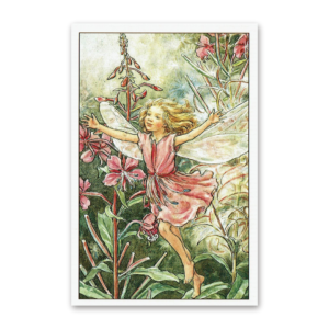 Postcard Flower Fairies, Cicely Mary Barker