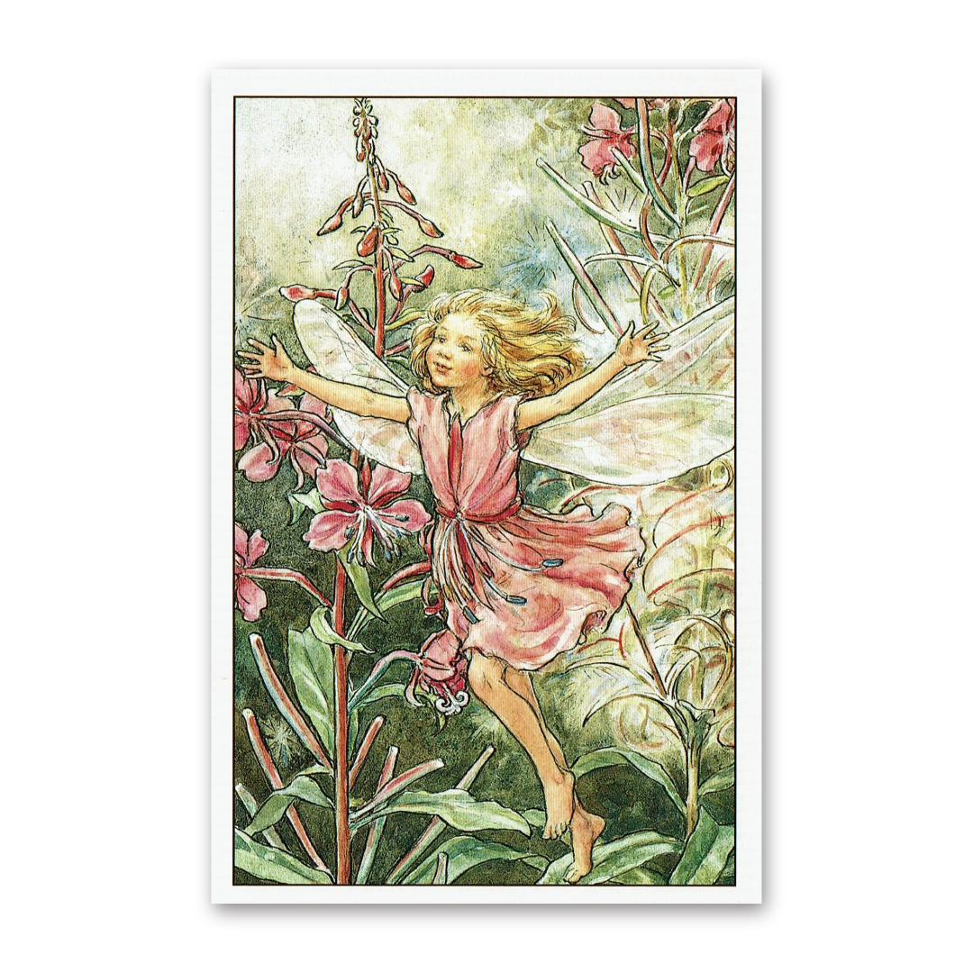 Postcard Flower Fairies, Cicely Mary Barker