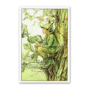 Postcard Flower Fairies, Cicely Mary Barker