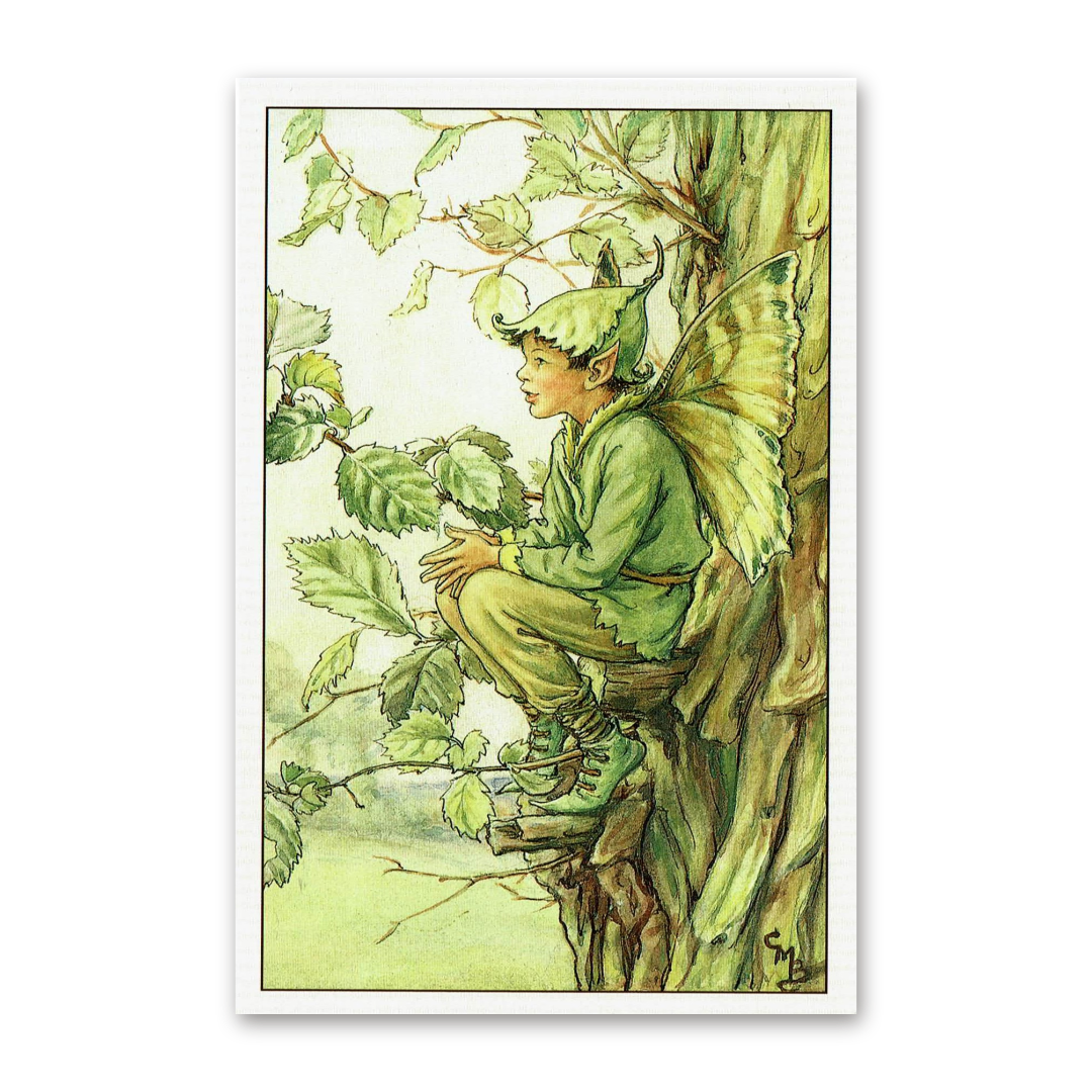 Postcard Flower Fairies, Cicely Mary Barker