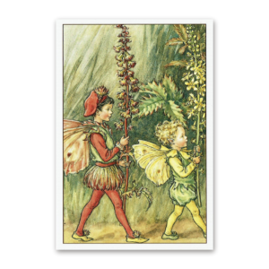 Postcard Flower Fairies, Cicely Mary Barker