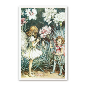 Postcard Flower Fairies, Cicely Mary Barker